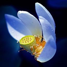 Twitch裁员500人 CEO直播坦言尚未盈利